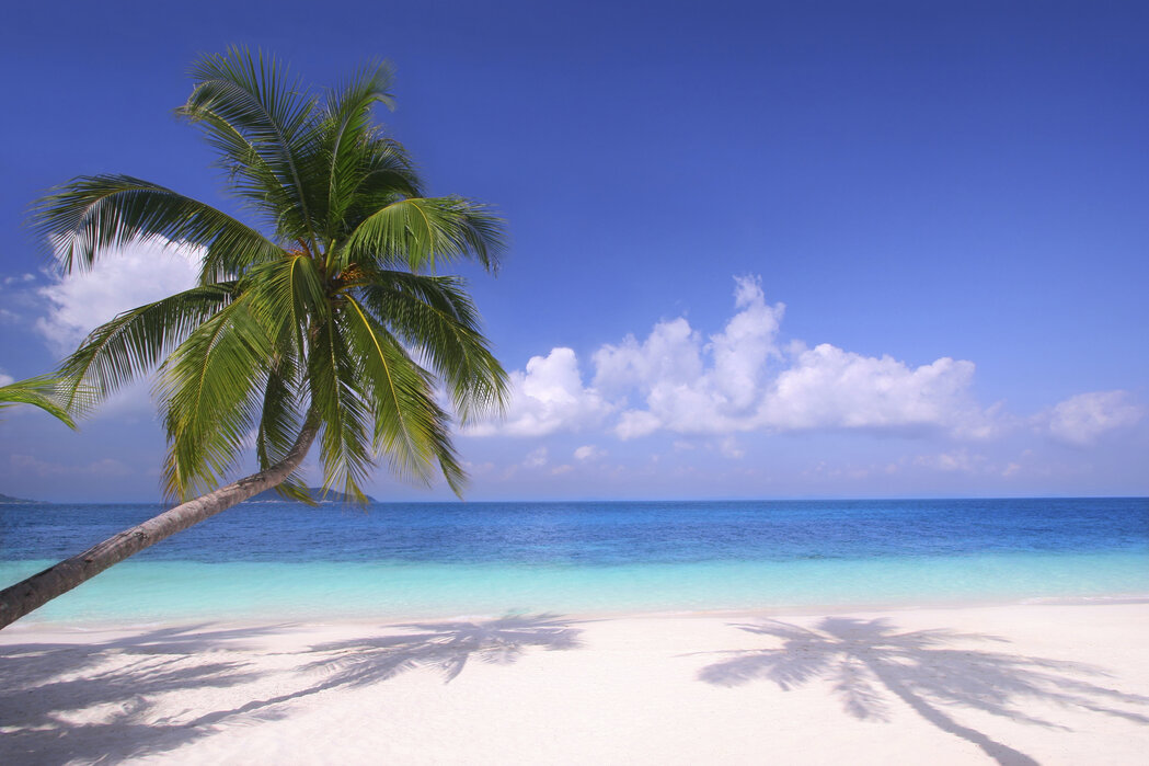 Tour App