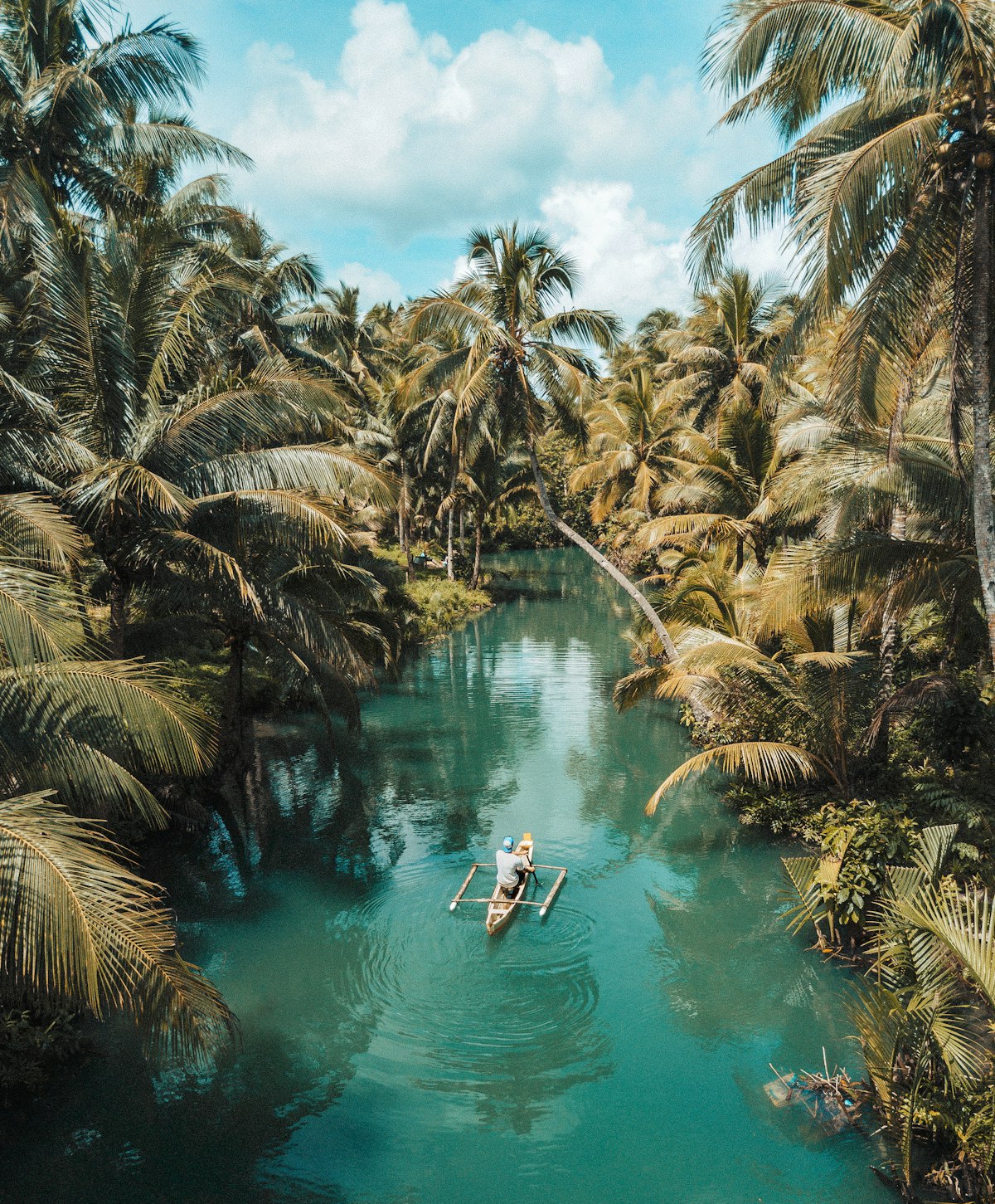 Ubud Jungle Hotel