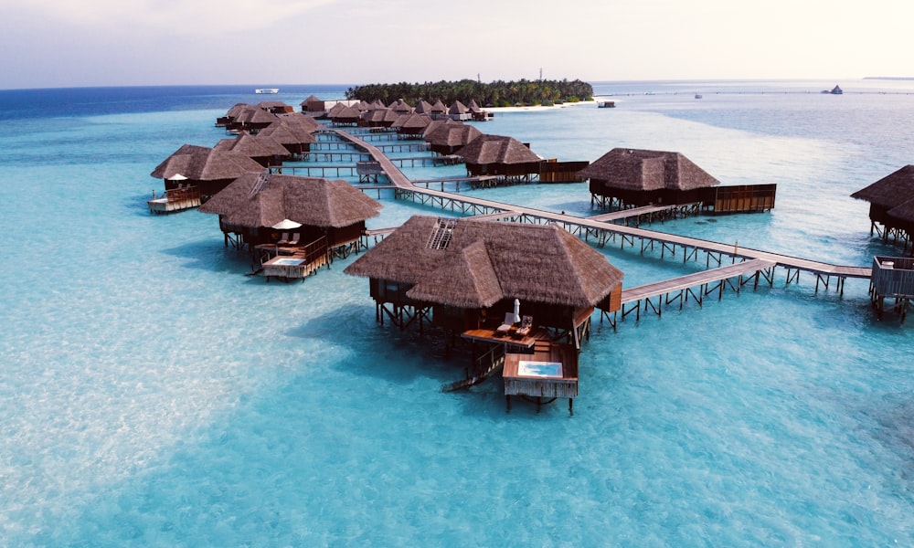 Maldives Snorkeling Paradise