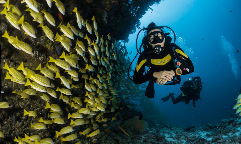 Maldives Snorkeling Paradise