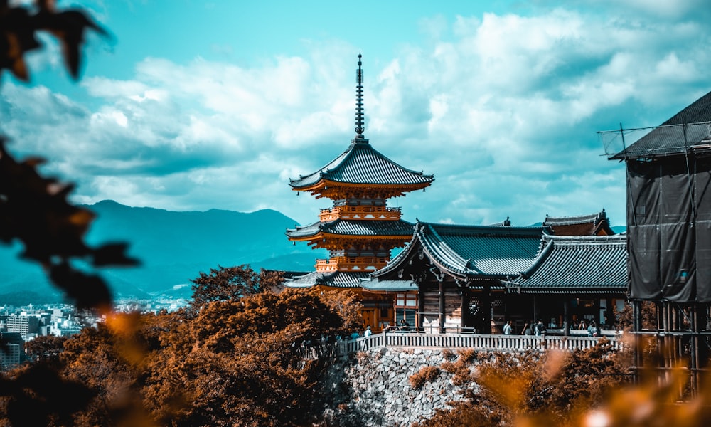 Tokyo Street Food & Culture Immersion